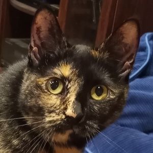 Meet your Posher, Morgan